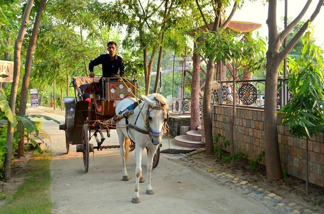 Kangs Nirvana Resorts And Spa Mahalpur Extérieur photo